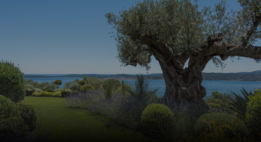 Villas For Sale in Grimaud, Gulf of Saint-Tropez, France