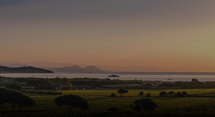 Villas For Sale in Ramatuelle, Gulf of Saint-Tropez, France